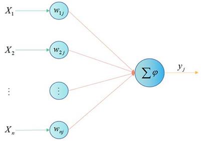 A Study on the Correlation Between Age-Related Macular Degeneration and Alzheimer's Disease Based on the Application of Artificial Neural Network